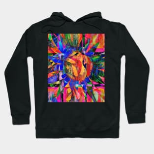 Kaleidoscope of Colors,  Abstract Flower Hoodie